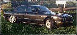 Looking for best prepurchase inspection in Sydney-dsc_0200_1.jpg