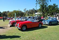 All British Day, this weekend.-11224578_10207657608747519_7042057451483093050_n.jpg