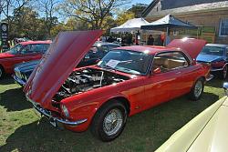 All British Day, this weekend.-11904057_10207657622067852_2131577078598072669_n.jpg