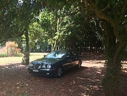 Today I discovered Jaguar-img_1969.jpg