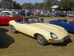All British Day, Kings School, Sydney 2013-sdc13451.jpg
