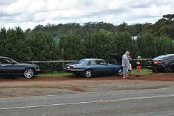 Tamborine Mountain/Gold Coast Hinterland Drive. February-dsc_5593.jpg