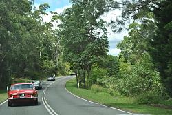 Tamborine Mountain/Gold Coast Hinterland Drive. February-dsc_5604.jpg