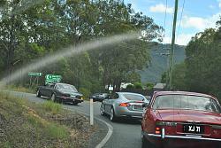 Tamborine Mountain/Gold Coast Hinterland Drive. February-dsc_5609.jpg