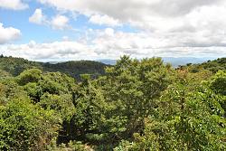 Tamborine Mountain/Gold Coast Hinterland Drive. February-dsc_5625.jpg
