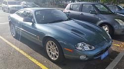 Tamborine Mountain/Gold Coast Hinterland Drive. February-12794432_779546642175975_3631060935870254892_n.jpg