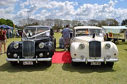 All British Day Queensland-dsc_0801.jpg