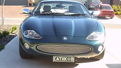 Time for introductions all round-xk8-004.jpg