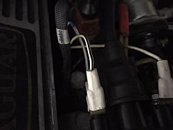 87 XJS V12 wiring harness-engine-harness-4.jpg