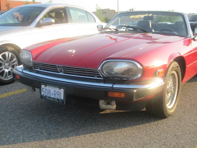Name:  IMG_1096_640x480.jpg
Views: 47
Size:  45.9 KB