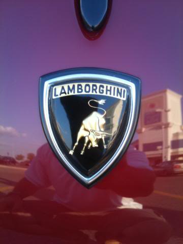 Name: IMG_0210_360x480.jpg
Views: 87
Size: 16.3 KB