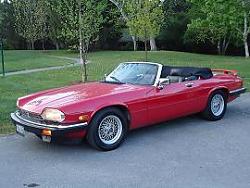 Any Toronto area meets?-paint-jag.jpg