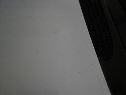 Clear Coat Damage-car-003-1-.jpg