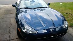 today's detail-img_20151024_123616.jpg