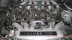 94 xj12 motor detailed-cimg4250.jpg