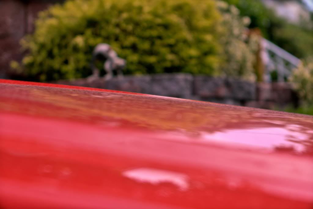 Name: IMG_7179JJJ.jpg
Views: 23
Size: 41.2 KB