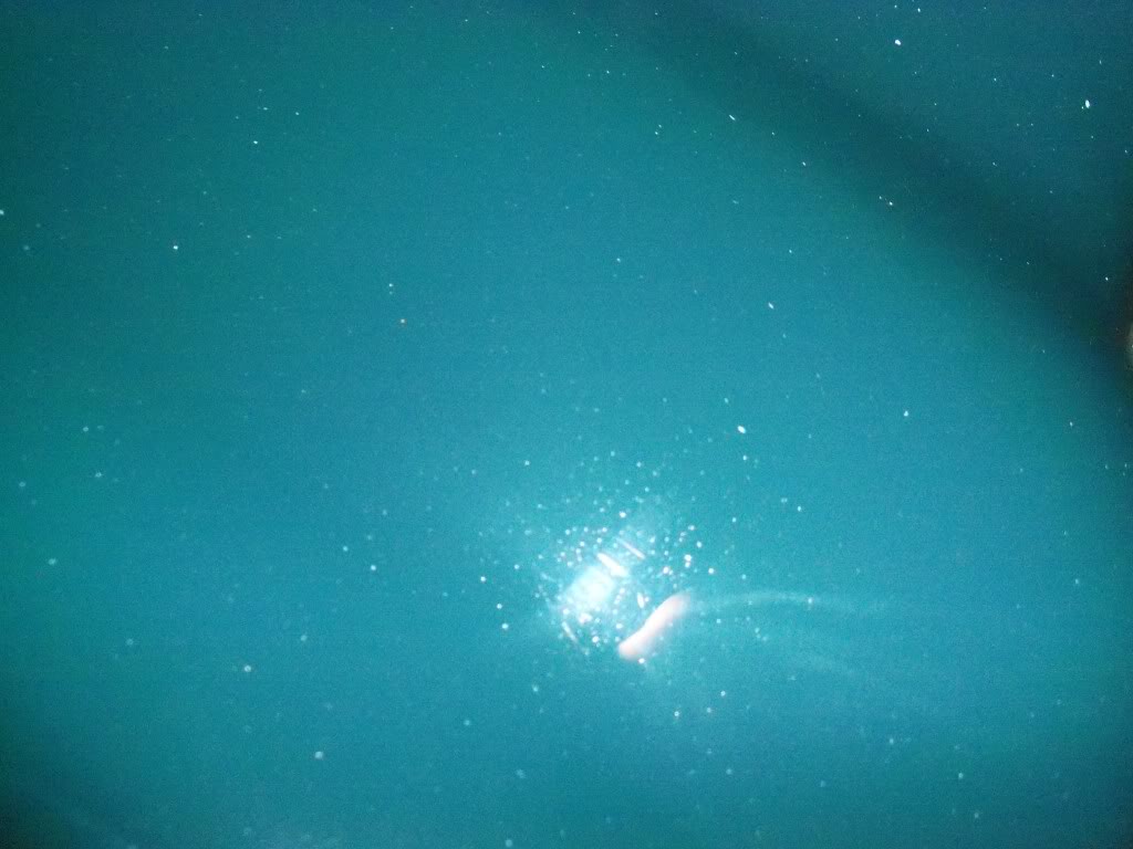 Name:  006-2.jpg
Views: 448
Size:  76.2 KB