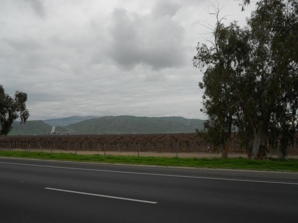 Name: DSCN0222.jpg
Views: 88
Size: 69.1 KB