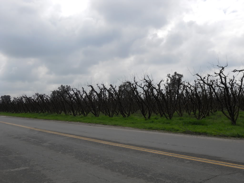 Name: DSCN0219.jpg
Views: 35
Size: 133.3 KB