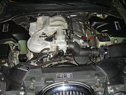 Engine detailing-dsc04935.jpg