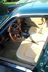 Unscented leather cleaner for Jaguar-car-pictures-2335.jpg
