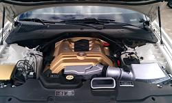 Engine detailing-white-cat-3.jpg