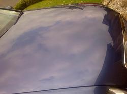 Audi A6 meets Poorboys Blackhole + Natty's Blue paste-carbonnet_zps083ca398.jpg