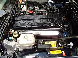 Engine detailing-car-2013-3.jpg