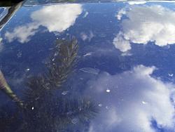 How To Properly Wash Your Car-img_27615.jpg