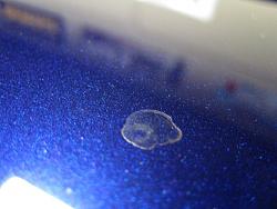 Polishing Your Car with Pinnacle Car Care-img_28052.jpg