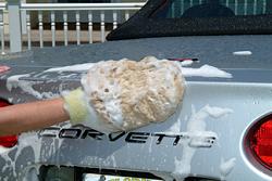 Pinnacle Paint Care System-sheepmit.jpeg