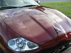 Pinnacle Souveran Sizzling Shine Kit Review-img_3443_zps36cd80ec.jpg