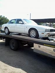 ** Pinnacle Wax Free Prize Draw **-micks-jag1.jpg
