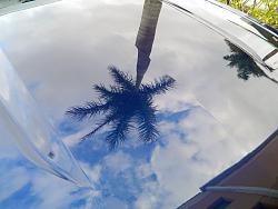 Paint vs. Pinnacle Black Label Coating-dscn6141.jpg