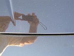 3M clear bra advice-3b3ec36b.jpg