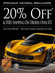 20% OFF and FREE SHIPPING OVER -pin-news-2-5-14.jpg