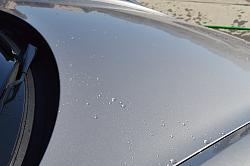 Pinnacle Black Label Synergy Wax- REVIEW-pinnacle-synergy-vs-meguiars-ultimate-water-bead-001.jpg