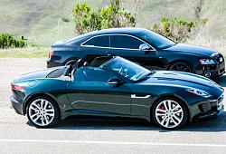 ** FREE **  - Pinnacle Pick A Kit Giveaway! WINNERS ANNOUNCED-dsc_1547-3.jpg