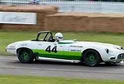 What to do with a E-Type-bob-tulius-his-v12.jpg