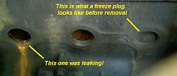 What is it, why's it leaking?-3plug.jpg