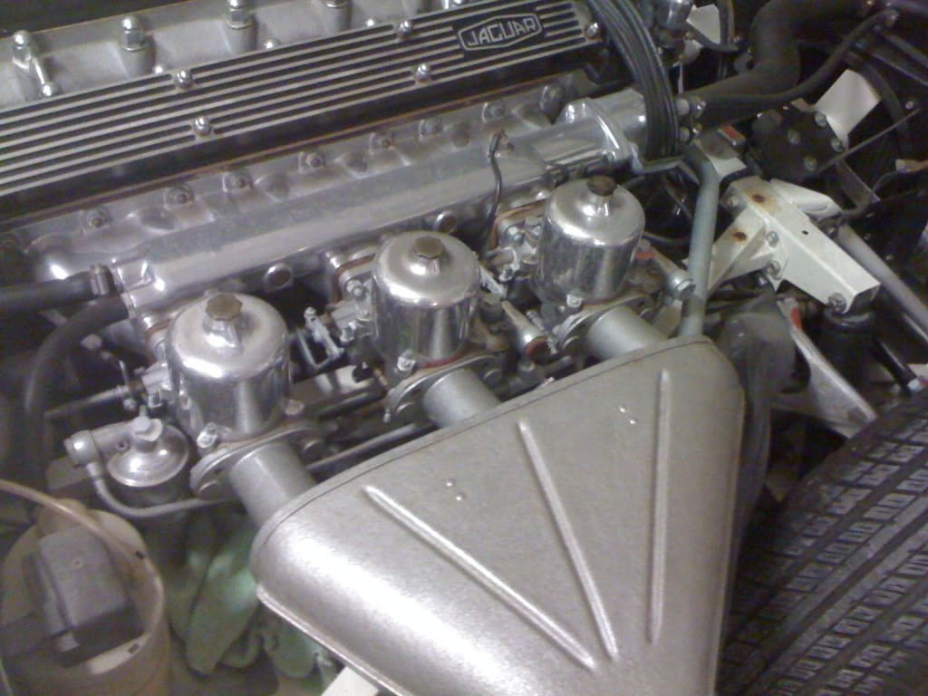Name:  photo-66.jpg
Views: 566
Size:  113.5 KB