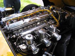 Looking for the illusive banana e type from NC!!-img_6696_zps6a089280.jpg