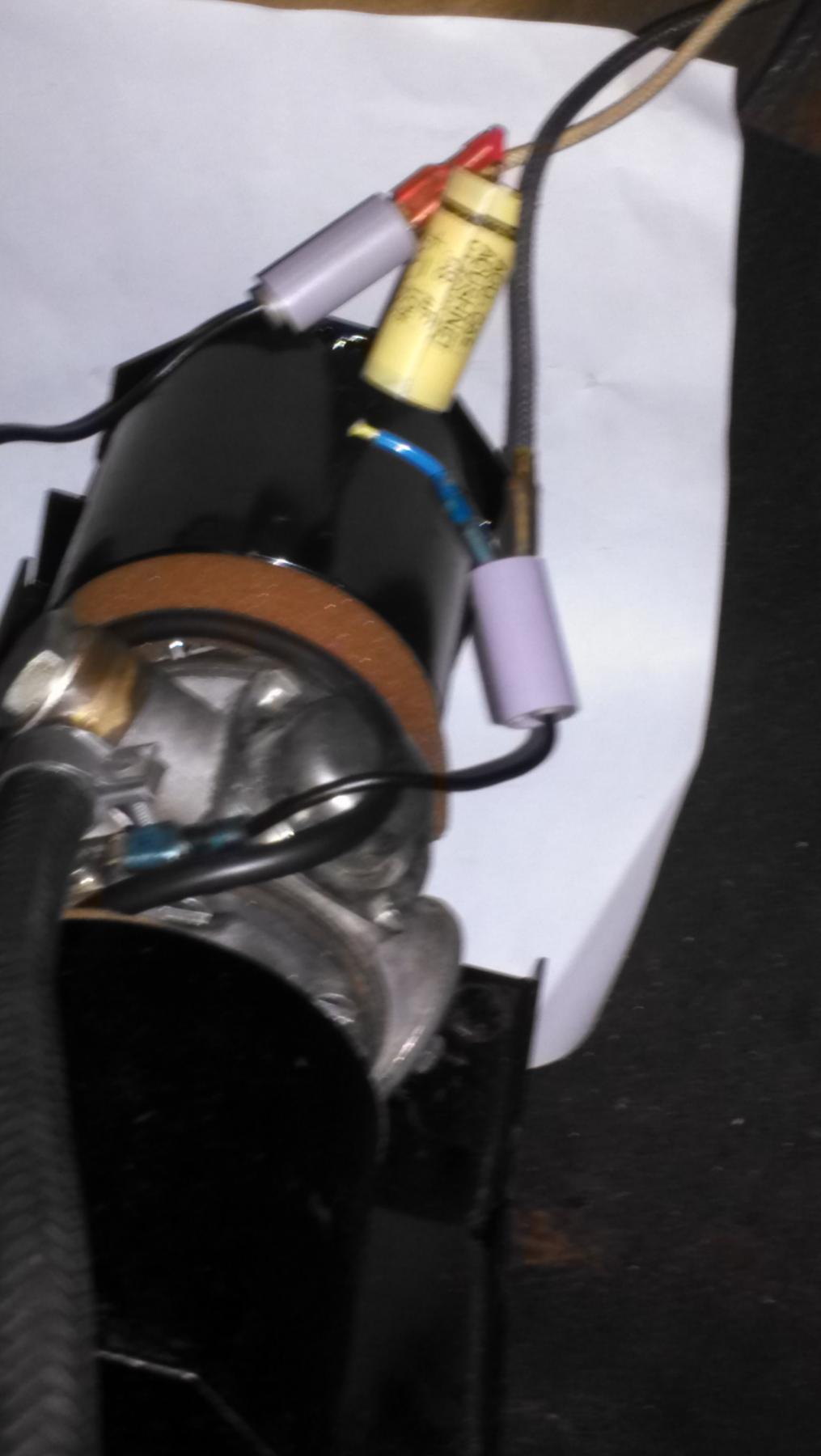 need to identify a wiring lead on a fuel pump-xke - Jaguar Forums