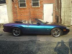 Americans prefer black and white cars-jag.jpg