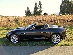 Official Jaguar F-Type Picture Post Thread-2.jpg