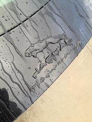 Black leaper badges-img_5562.jpg