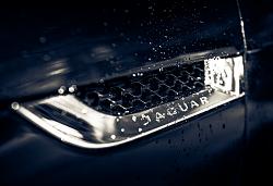 Rain-20141216-2.jpg