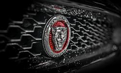 Rain-20141216-1.jpg