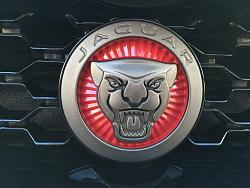 Painted Chrome Accents-photo-4.jpg