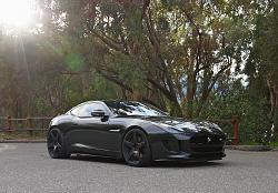 Cat Has New Paws-dsc01149.jpg